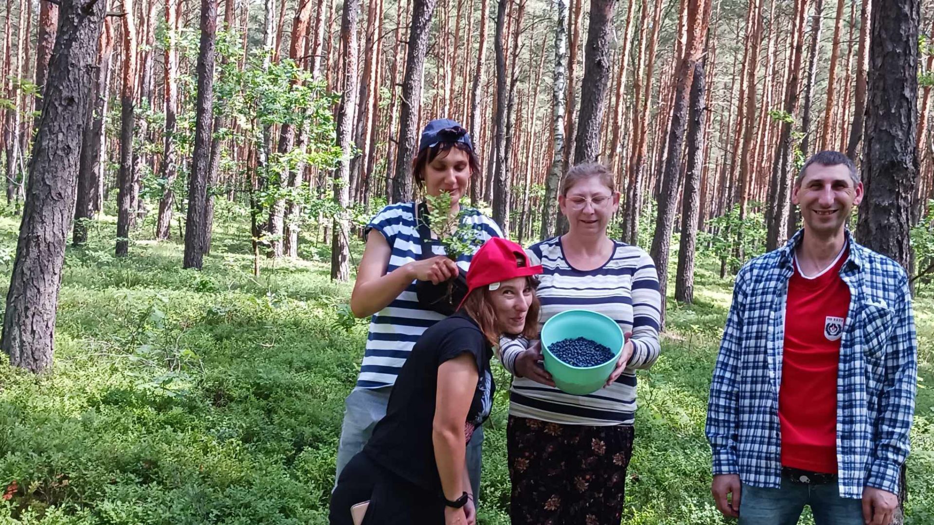 Uczestnicy w lesie podczas zbierania jagód.