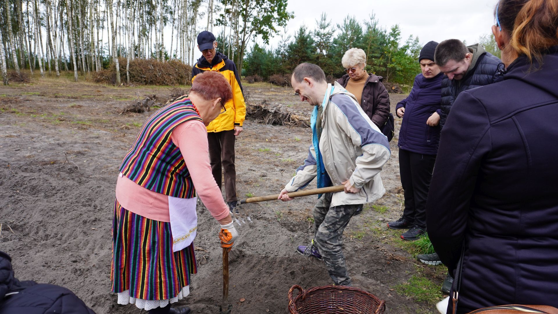 Uczestnicy PŚDS podczas wykopków  w Gospodarstwie Agroturystycznych ''Dolina Bobrów''. 
